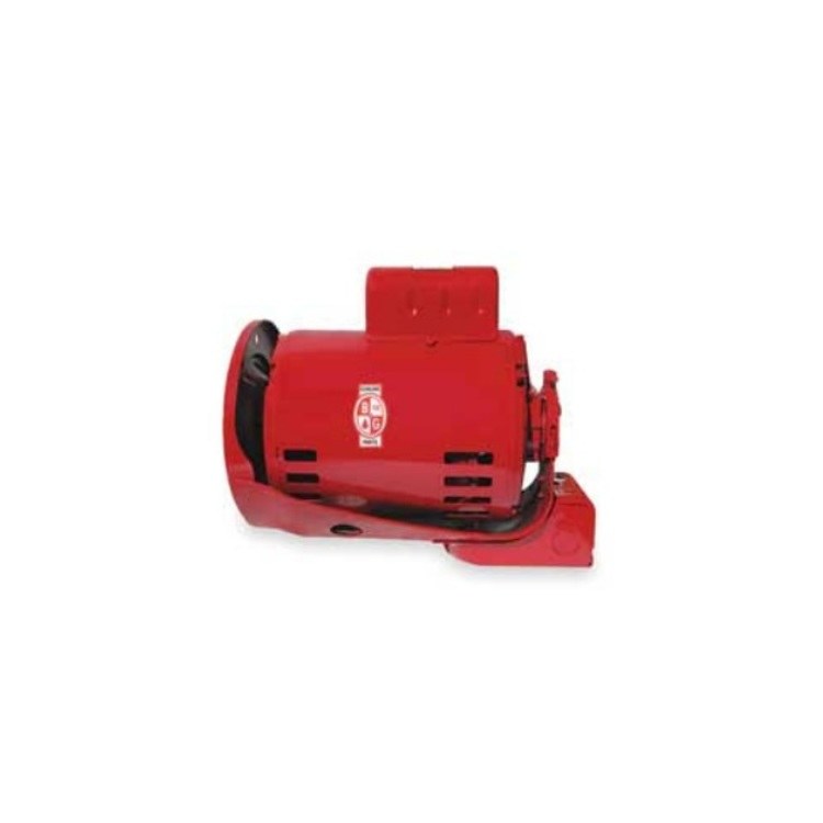 Pump Motor