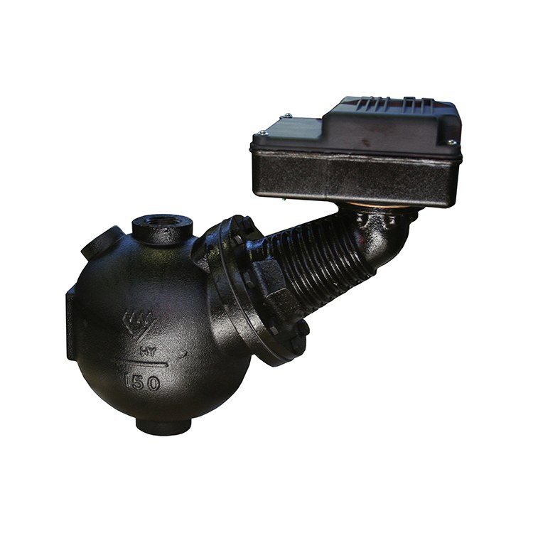 Low Water Cut Off Control