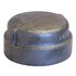  product Malleable-Fittings -Cap 2CAXH 13094