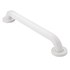  product Moen Home-Care-Grab-Bar R8724W 154056
