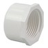  product PVC-Pressure-Fittings -Cap 448-020 16304
