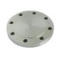  product Stainless-Steel-Import-Fittings Blind-Flange 2304BLFLG 166644