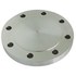  product Stainless-Steel-Import-Fittings Blind-Flange 8316BLFLG 166655