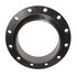  product Allied -Flange 12IWNFLG 208828