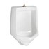  product American-Standard Trimbrook--Urinal 6561.017.020 285440