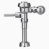  product Sloan Royal--Flushometer 3012436 370433