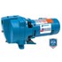  product Goulds Jet-Pump J5SH 396204