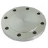  product Stainless-Steel-Import-Fittings Blind-Flange 4316BLFLG 40398