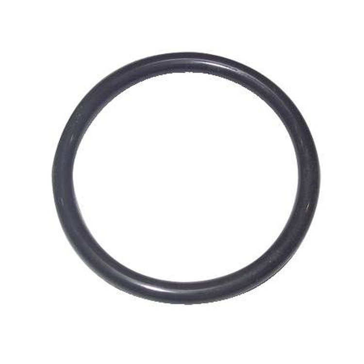  product Rinnai -O-Ring M10B-2-16 420251