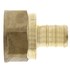  product PEX-B-Tube-and-Fittings Female-Adapter 12PXFAB 421906