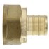  product PEX-B-Tube-and-Fittings Female-Adapter 34PXFAB 421907