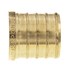  product PEX-B-Tube-and-Fittings Test-Plug 1TPLGB 422003