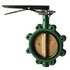  product Centerline 200-Butterfly-Valve 200AV061352-4 45667