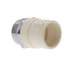  product CTS-CPVC-Fittings -Adapter 112MASS 463979