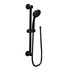  product Moen Handshower-Set 3868EPORB 490340