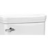  product DXV Fitzgerald-Trip-Lever 7381344-200.2950A 500121