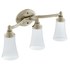  product Moen Eva-Bath-Light YB2863BN 519461