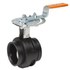  product Victaulic MasterSeal-300-Butterfly-Valve V024761SE2 52990