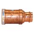  product Apollo 801R-Reducing-Coupling 10015900 531996