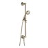  product Brizo Rook-Handshower-Set 88761-PN 537861