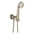  product Brizo Rook-Handshower-Set 88861-PN 537866