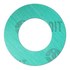  product Gaskets -Gasket 2R300 53913