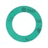  product Gaskets -Gasket 5R300 53919