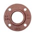  product Ductile-Iron-Fittings Companion-Flange 2X6CF 542795