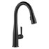 product Delta Essa-Kitchen-Faucet 9113T-BL--DST 543364