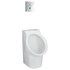  product American-Standard Decorum-Pint--Urinal 6043.001EC-.020 547723