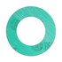  product Gaskets -Gasket 212R18150 55094