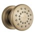  product Brizo Universal-Showering-Body-Spray 84110-GL 582112