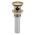 product Brizo Drain-Assembly RP72414GL 582283