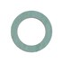  product Lochinvar -Gasket 100275538 584554