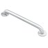  product Moen Home-Care-Grab-Bar 8724 609381
