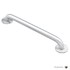  product Moen Home-Care-Grab-Bar 8730 609382