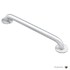  product Moen Home-Care-Grab-Bar 8732 609383