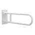 product Moen Home-Care-Grab-Bar R8960FDW 609463