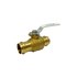  product Milwaukee-Valve Ultra-Pure-UP-Ball-Valve UPBA480B212 616765