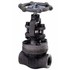  product Bonney-Forge Globe-Valve HL31W-2 650859