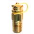  product Ashcroft Petes--Plug 25PETE 86730