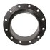  product Allied -Flange 10WNFLG 94678